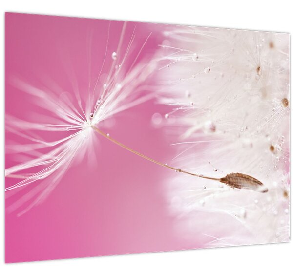 Tablou - Floare macro (70x50 cm)