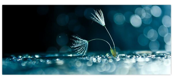 Tablou - Macro (120x50 cm)