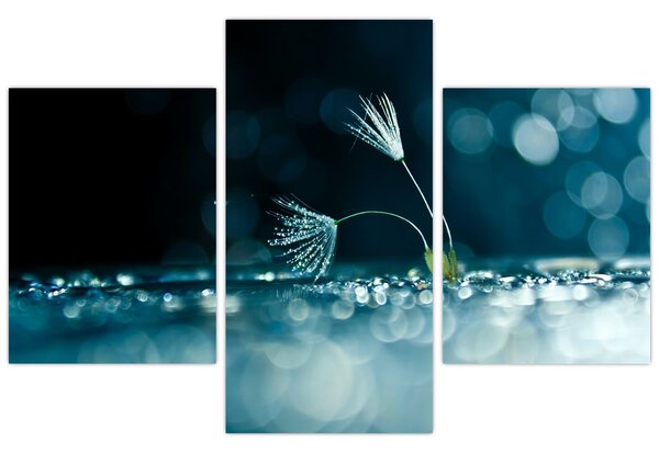 Tablou - Macro (90x60 cm)