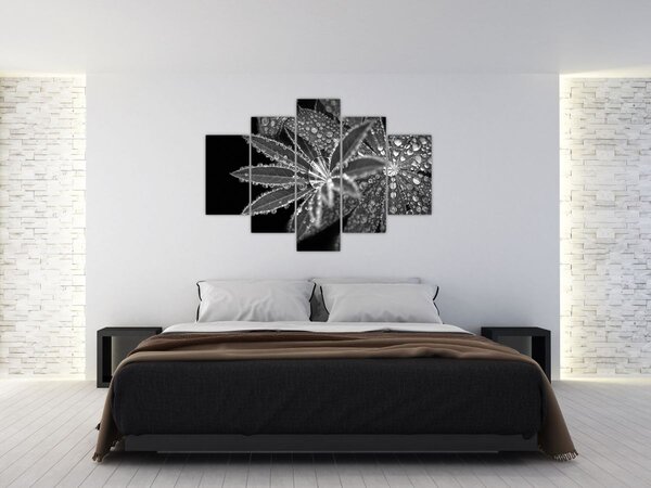 Tablou - Picături (150x105 cm)