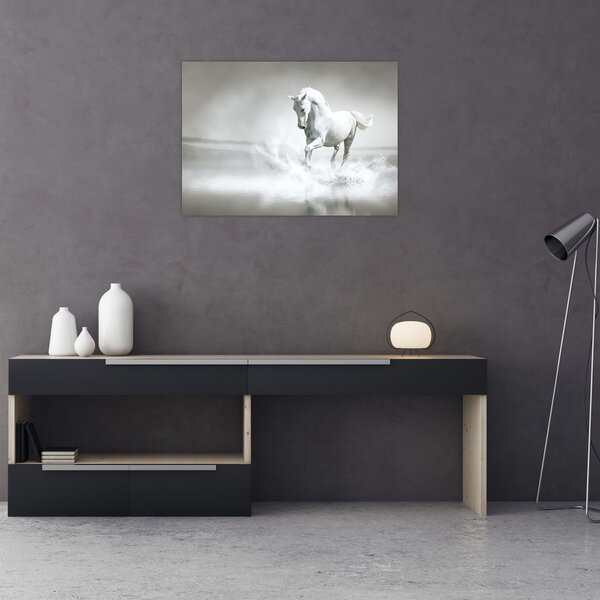 Tablou - Cal alb (70x50 cm)