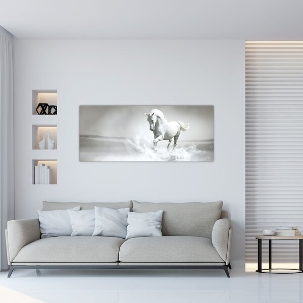 Tablou - Cal alb (120x50 cm)