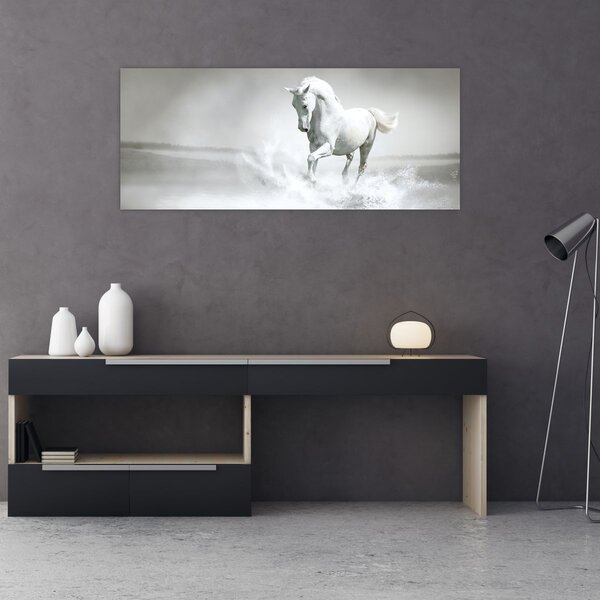 Tablou - Cal alb (120x50 cm)
