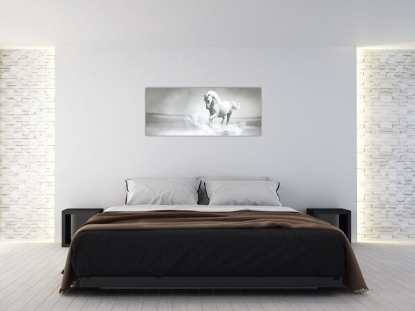 Tablou - Cal alb (120x50 cm)