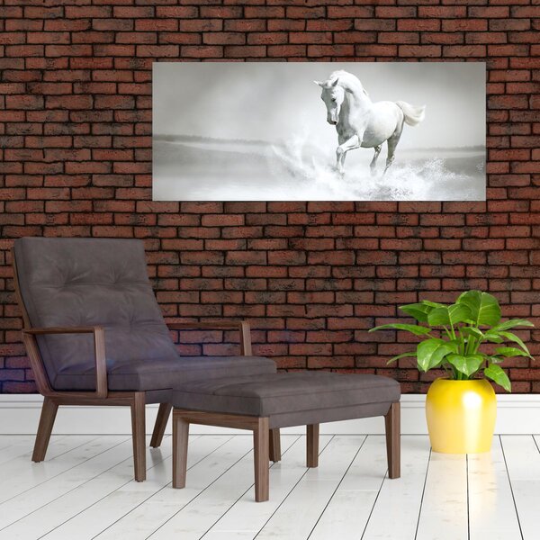 Tablou - Cal alb (120x50 cm)