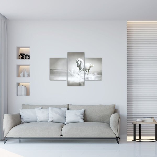 Tablou - Cal alb (90x60 cm)