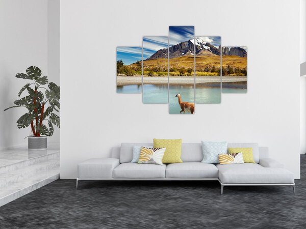 Tablou - Parcul Național Torres del Paine (150x105 cm)