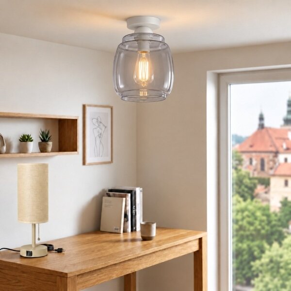BRILAGI - Plafonieră LED R GLASS 1xE27/60W/230V diam. 26 cm alb/gri fumuriu