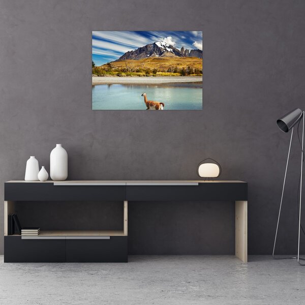 Tablou - Parcul Național Torres del Paine (70x50 cm)
