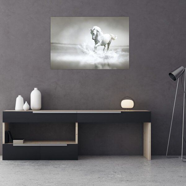 Tablou - Cal alb (90x60 cm)