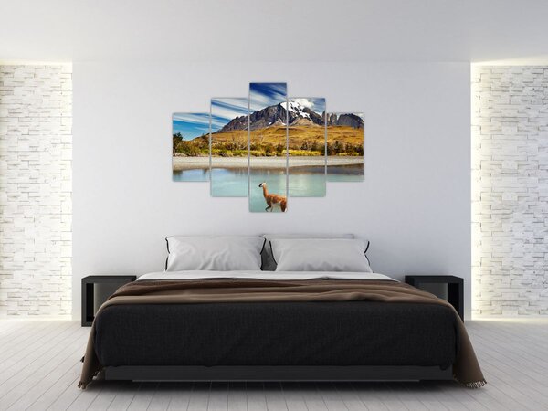 Tablou - Parcul Național Torres del Paine (150x105 cm)