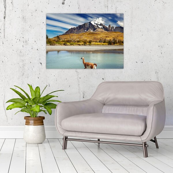 Tablou - Parcul Național Torres del Paine (70x50 cm)