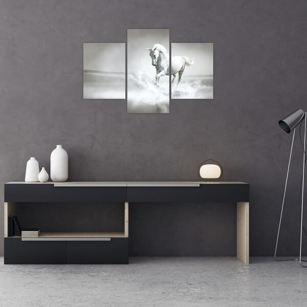 Tablou - Cal alb (90x60 cm)