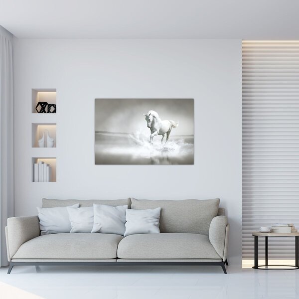 Tablou - Cal alb (90x60 cm)