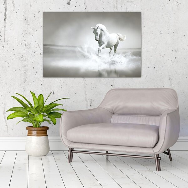 Tablou - Cal alb (90x60 cm)