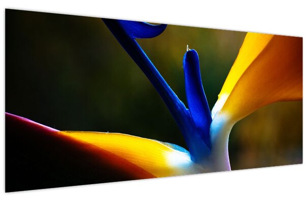 Tablou - Floare exotică (120x50 cm)