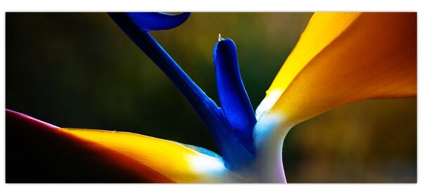Tablou - Floare exotică (120x50 cm)
