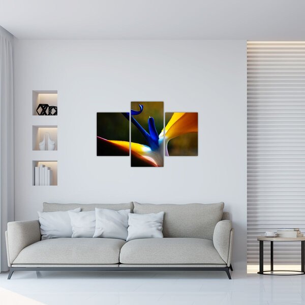 Tablou - Floare exotică (90x60 cm)