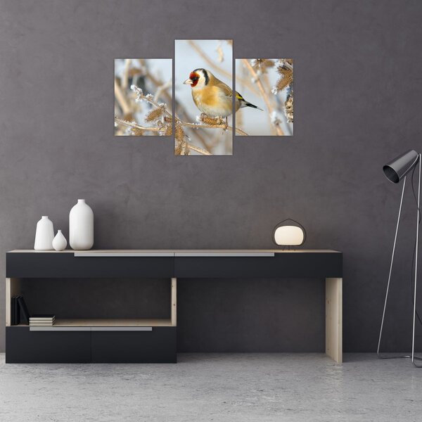 Tablou - Ciredeaua (90x60 cm)