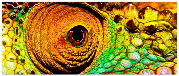 Tablou - Cameleon (120x50 cm)