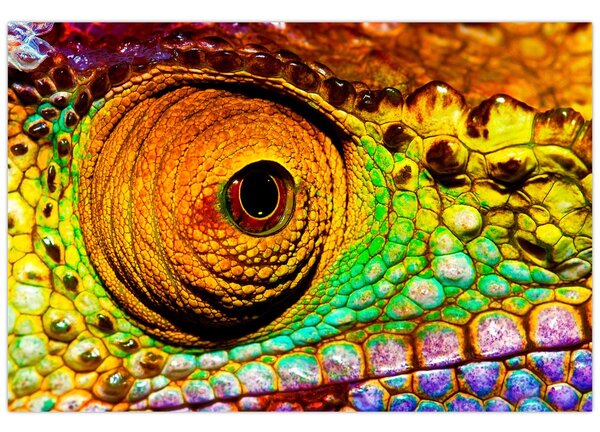 Tablou - Cameleon (90x60 cm)