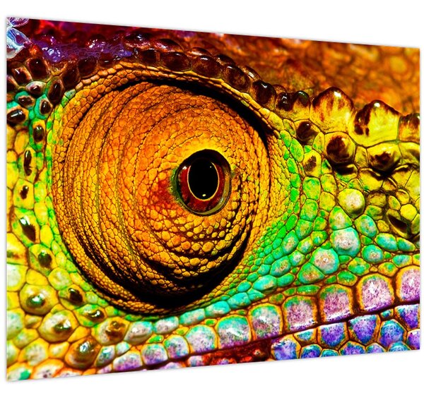 Tablou - Cameleon (70x50 cm)