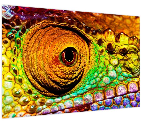 Tablou - Cameleon (90x60 cm)