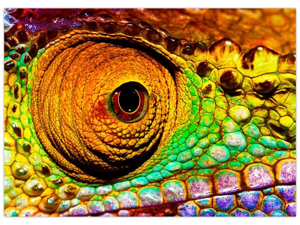 Tablou - Cameleon (70x50 cm)
