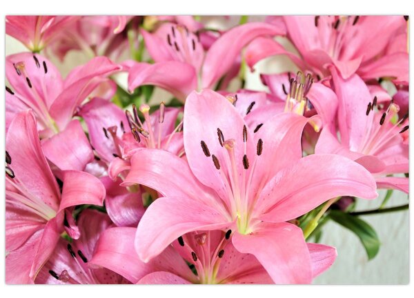 Tablou - Liliac roz (90x60 cm)