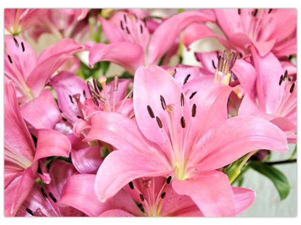 Tablou - Liliac roz (70x50 cm)