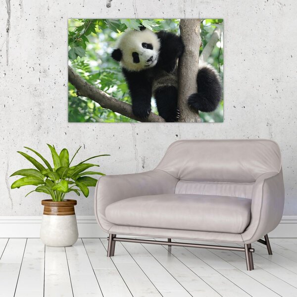 Tablou - Panda in copac (90x60 cm)