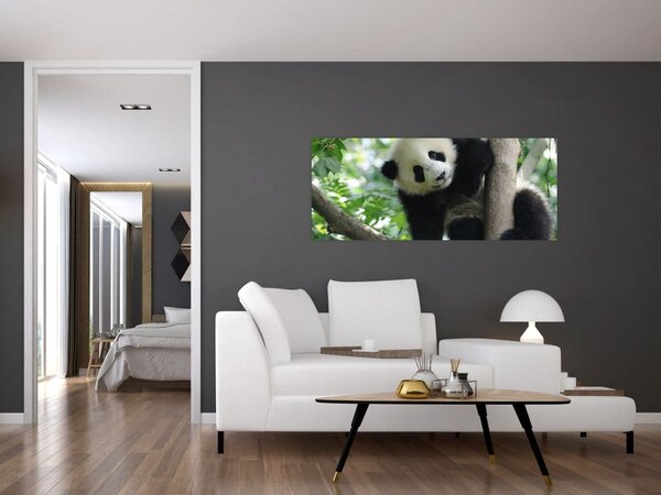 Tablou - Panda in copac (120x50 cm)