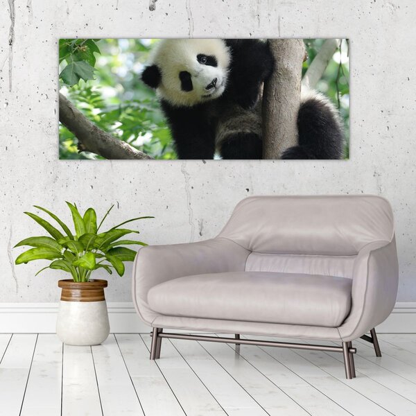 Tablou - Panda in copac (120x50 cm)