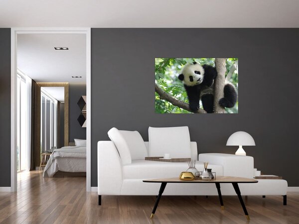 Tablou - Panda in copac (90x60 cm)