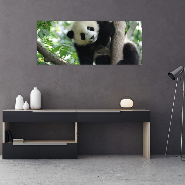 Tablou - Panda in copac (120x50 cm)