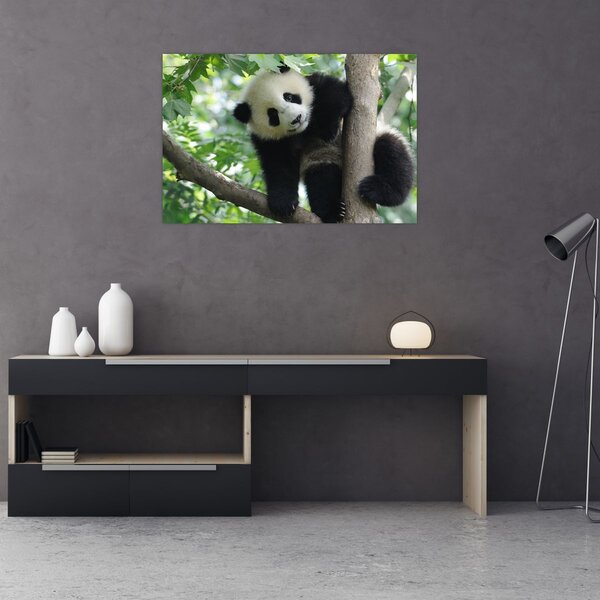 Tablou - Panda in copac (90x60 cm)