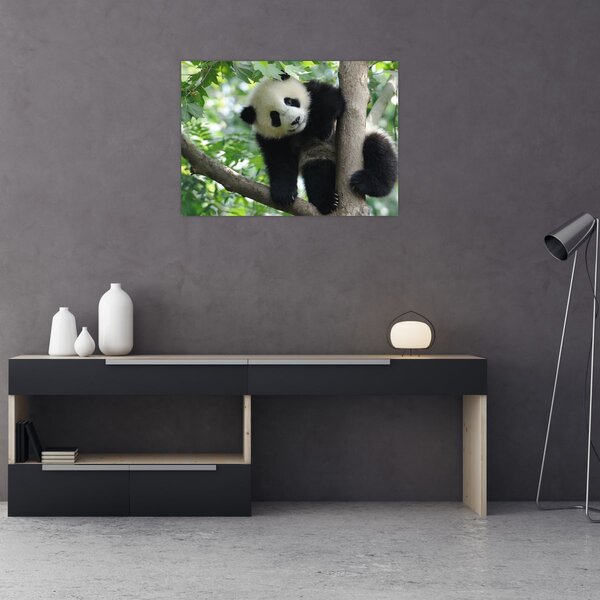 Tablou - Panda in copac (70x50 cm)