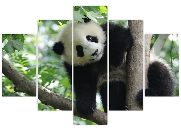 Tablou - Panda in copac (150x105 cm)