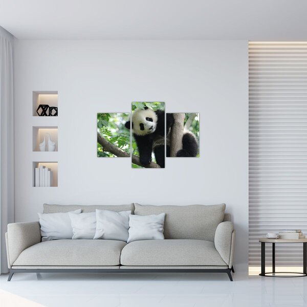 Tablou - Panda in copac (90x60 cm)