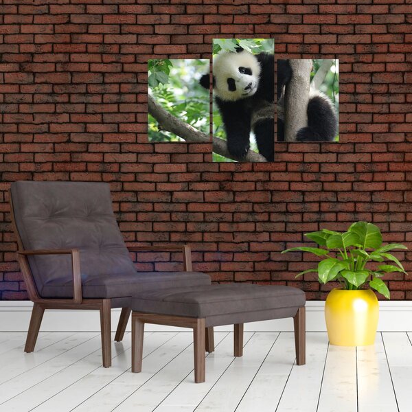Tablou - Panda in copac (90x60 cm)