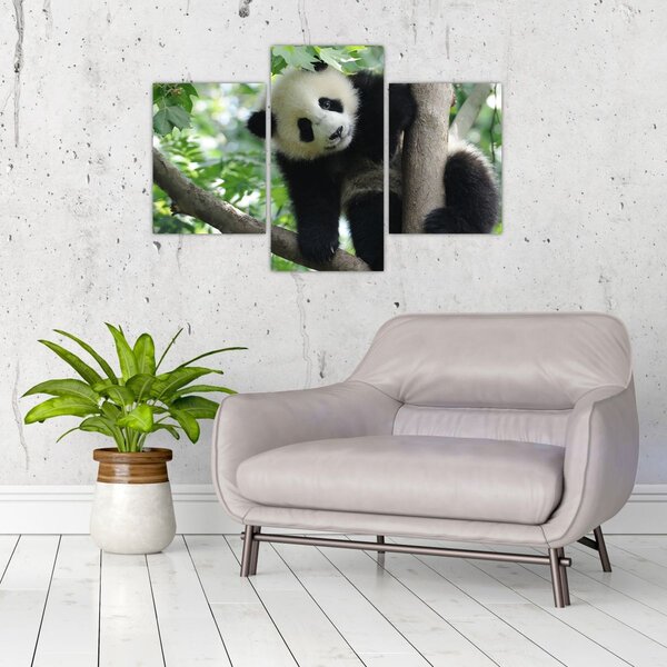 Tablou - Panda in copac (90x60 cm)