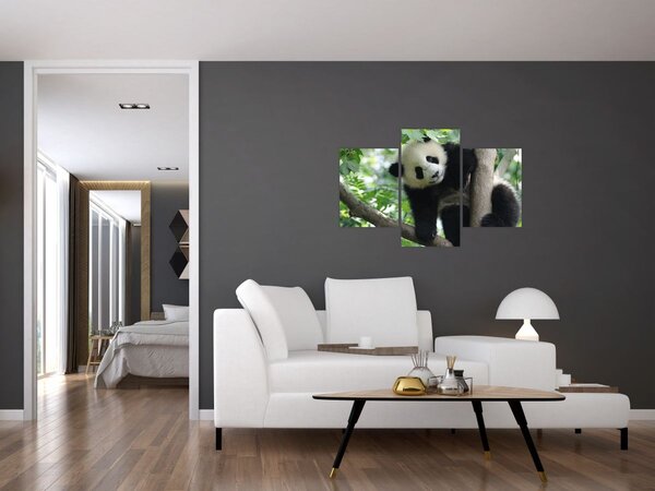 Tablou - Panda in copac (90x60 cm)