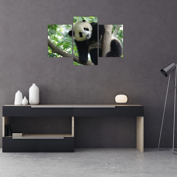 Tablou - Panda in copac (90x60 cm)