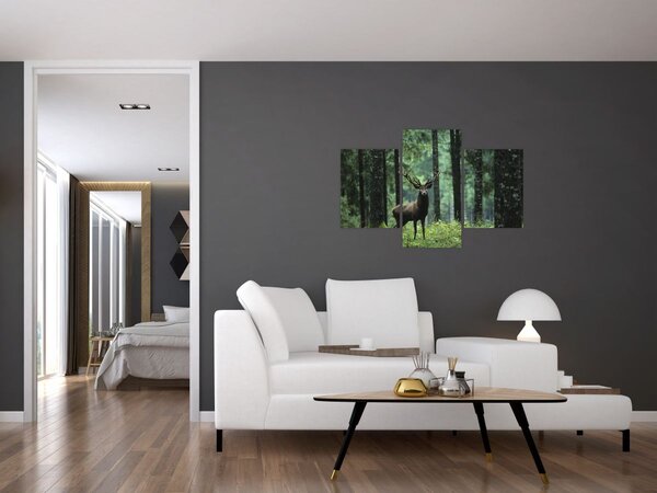Tablou - Cerb în pădurea adâncă (90x60 cm)