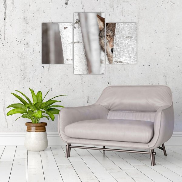 Tablou - Lup (90x60 cm)