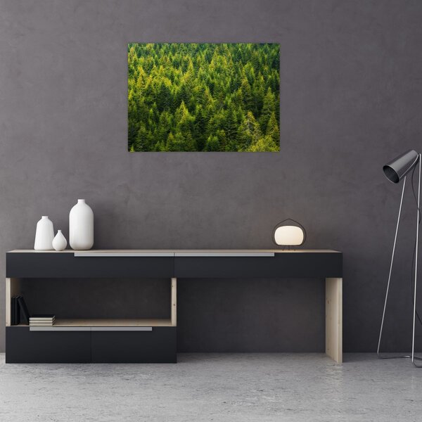 Tablou - Pădure deasă (70x50 cm)
