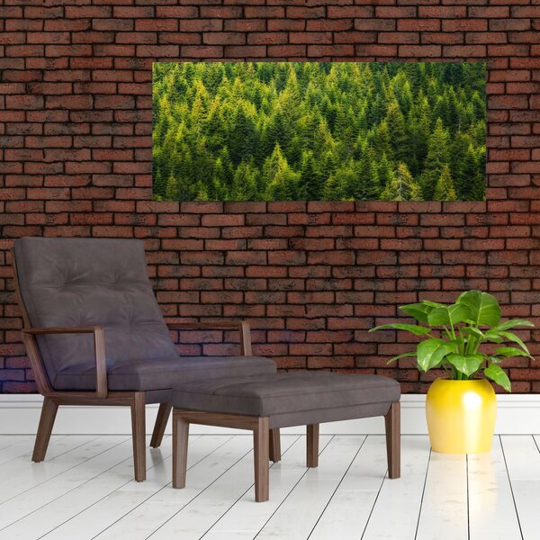 Tablou - Pădure deasă (120x50 cm)