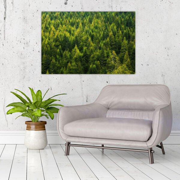 Tablou - Pădure deasă (90x60 cm)