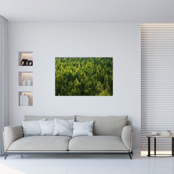 Tablou - Pădure deasă (90x60 cm)