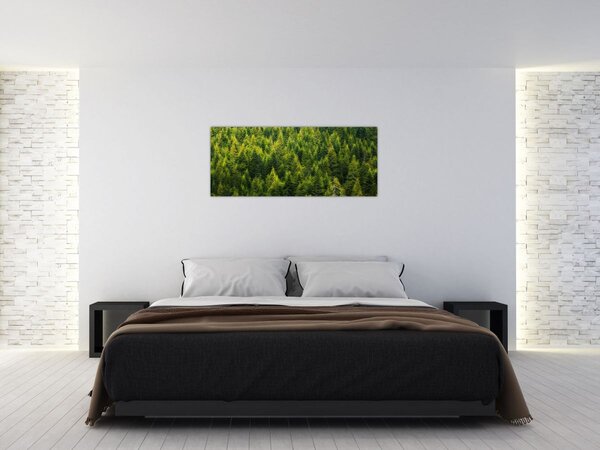 Tablou - Pădure deasă (120x50 cm)